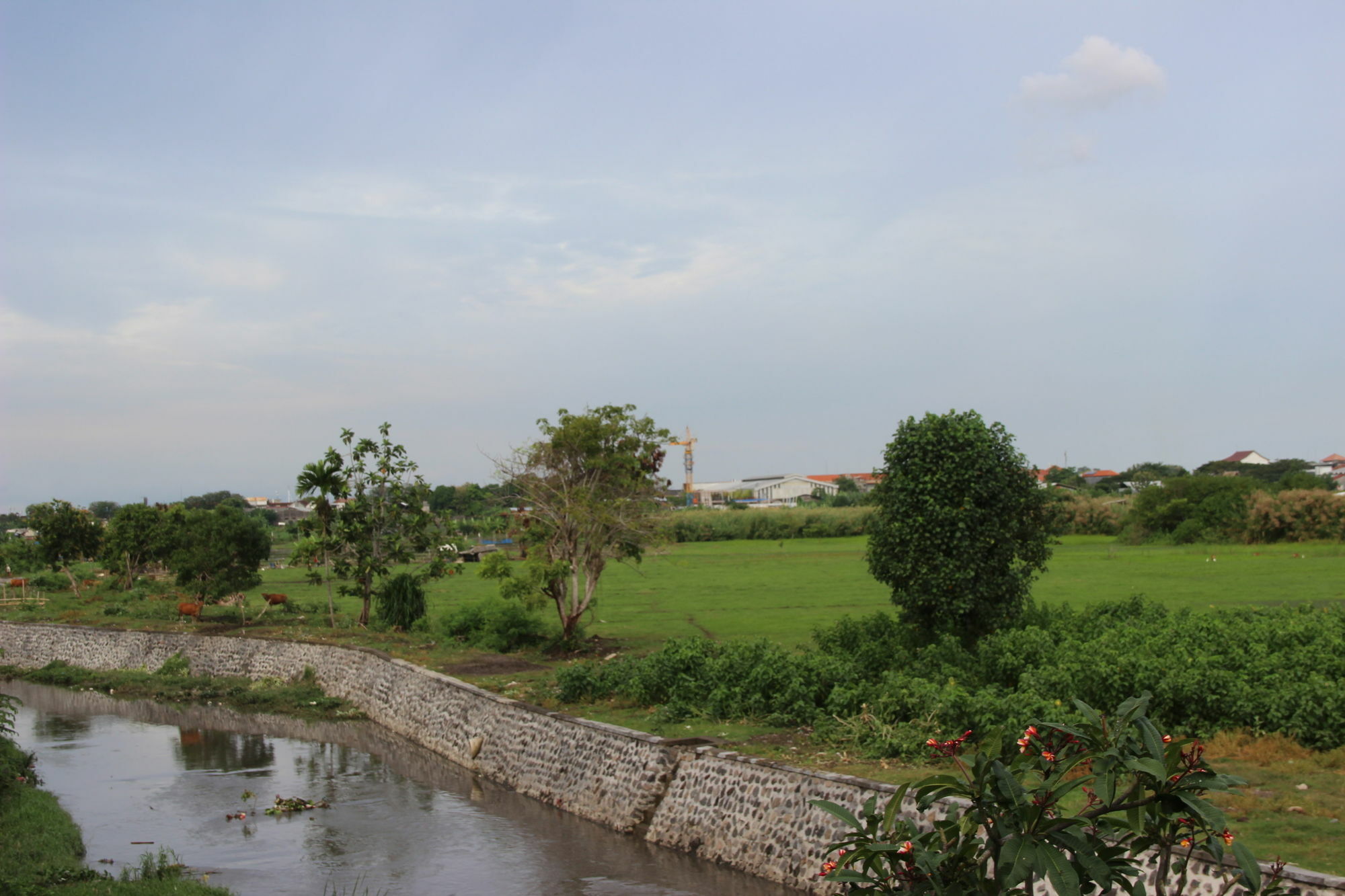 Beji Ayu Homestay Seminyak Exteriör bild